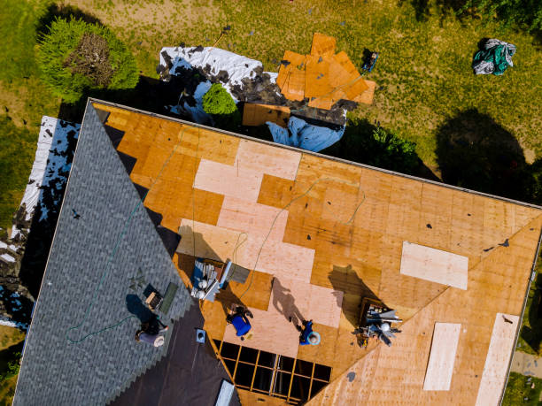 Best Roof Leak Repair  in Five Points, NC