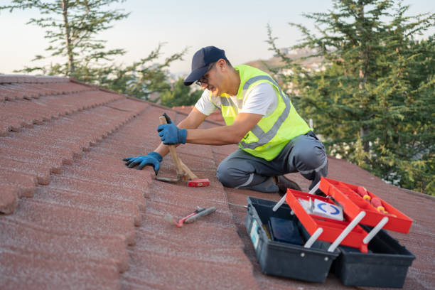 Best Shingle Roofing Installation  in Five Points, NC