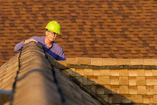 Best Roof Gutter Cleaning  in Five Points, NC