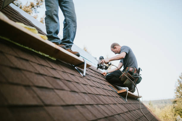 Best Storm Damage Roof Repair  in Five Points, NC